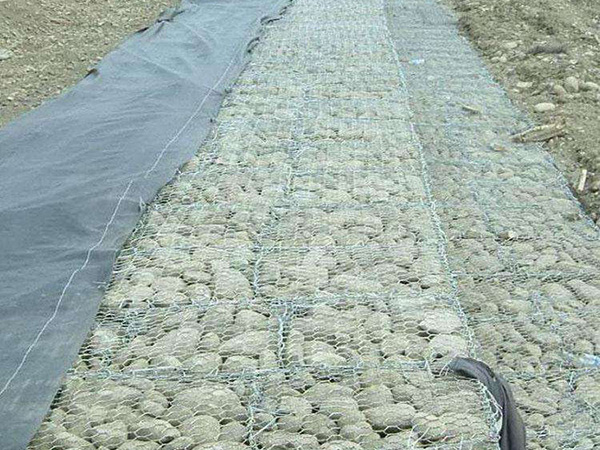 雷諾護墊案例圖片2